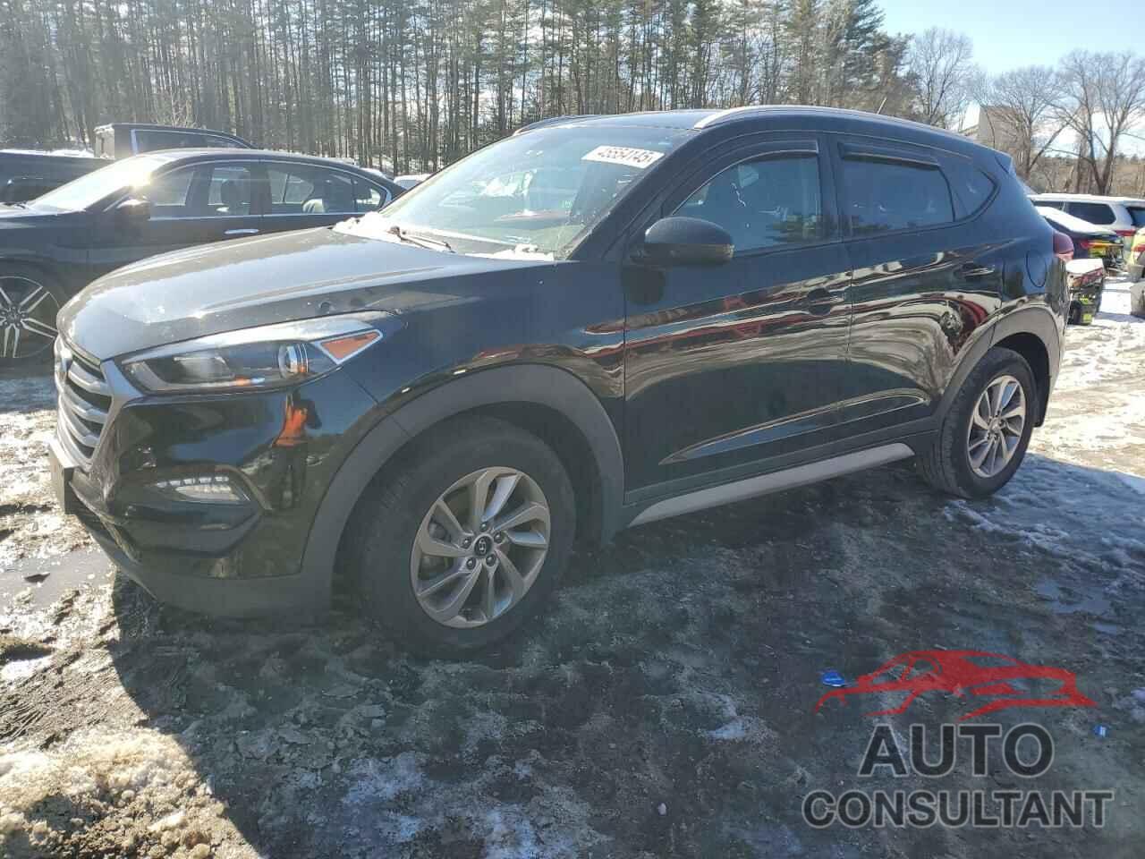 HYUNDAI TUCSON 2017 - KM8J3CA41HU522506