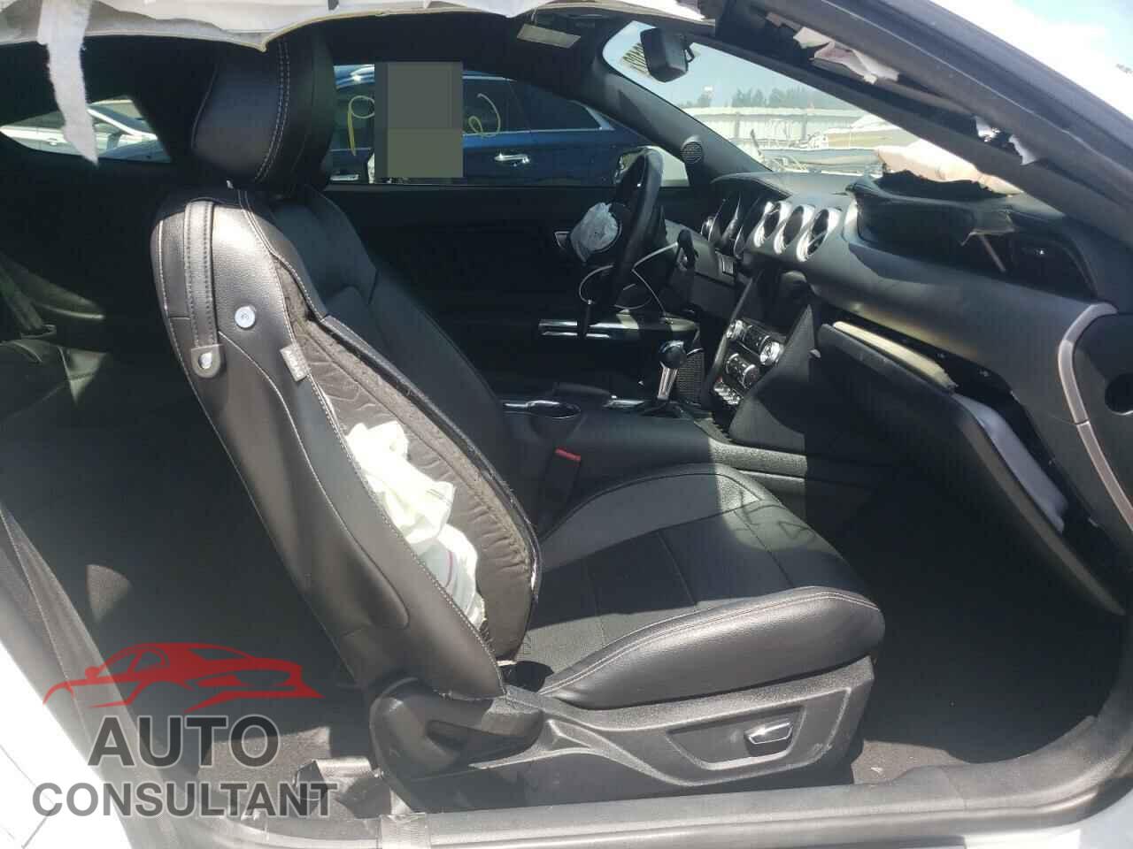 FORD MUSTANG 2019 - 1FA6P8CF2K5151664