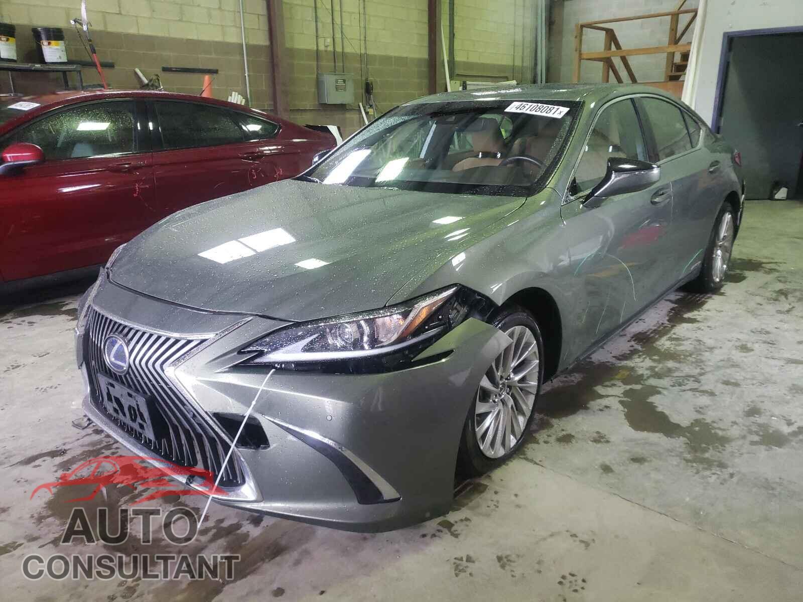 LEXUS ES300 2019 - JTHB21B16K2031855