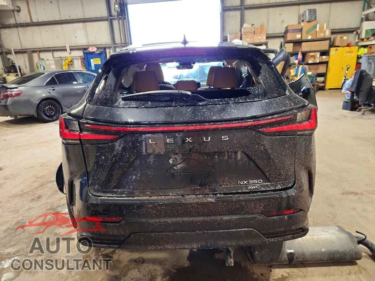 LEXUS UNKNOWN 2025 - 2T2GGCEZ6SC089452