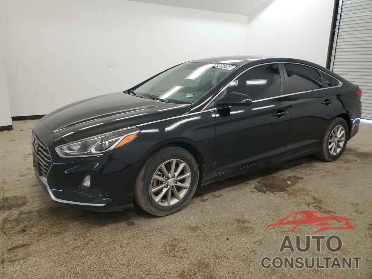 HYUNDAI SONATA 2019 - 5NPE24AF4KH801742