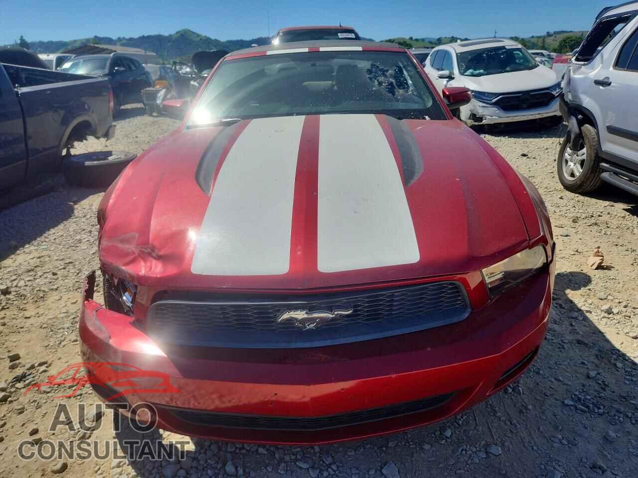 FORD MUSTANG 2011 - 1ZVBP8EM2B5148412