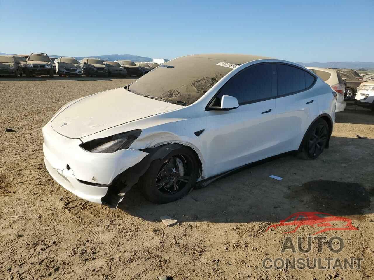 TESLA MODEL Y 2025 - 7SAYGAEEXSF268926