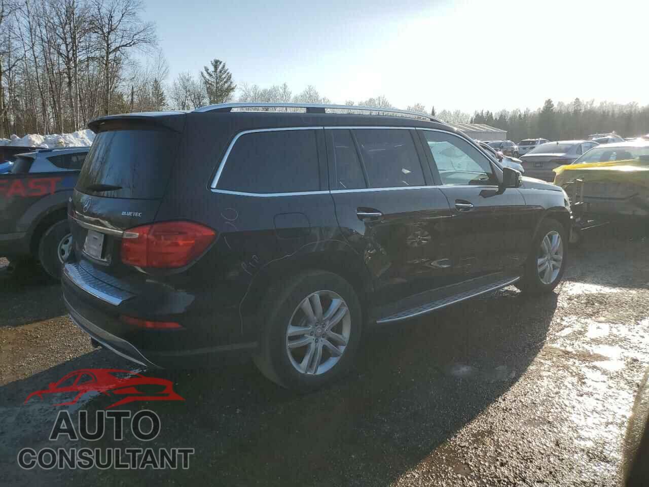 MERCEDES-BENZ GL-CLASS 2013 - 4JGDF2EE1DA133331