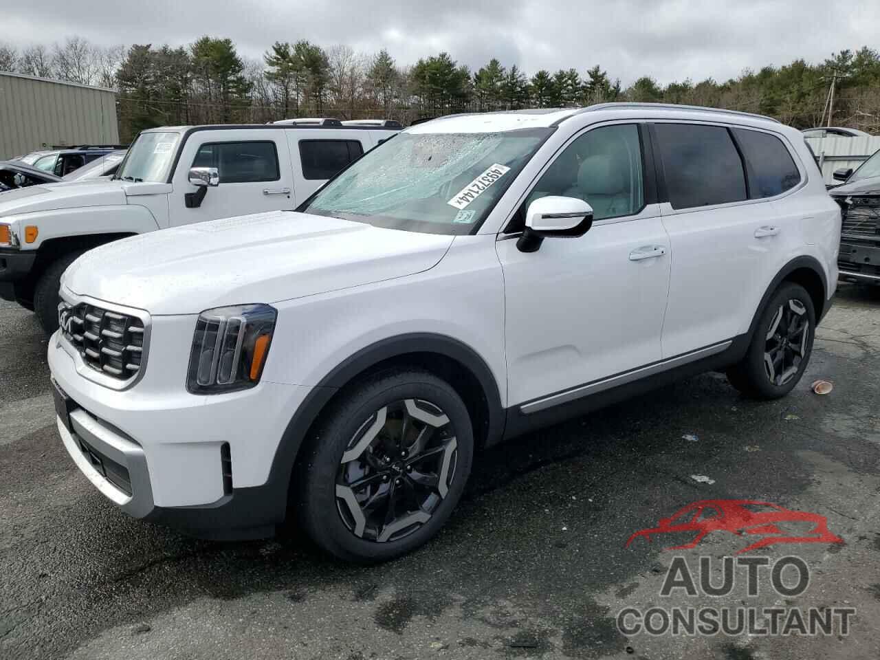 KIA TELLURIDE 2024 - 5XYP64GC2RG475838