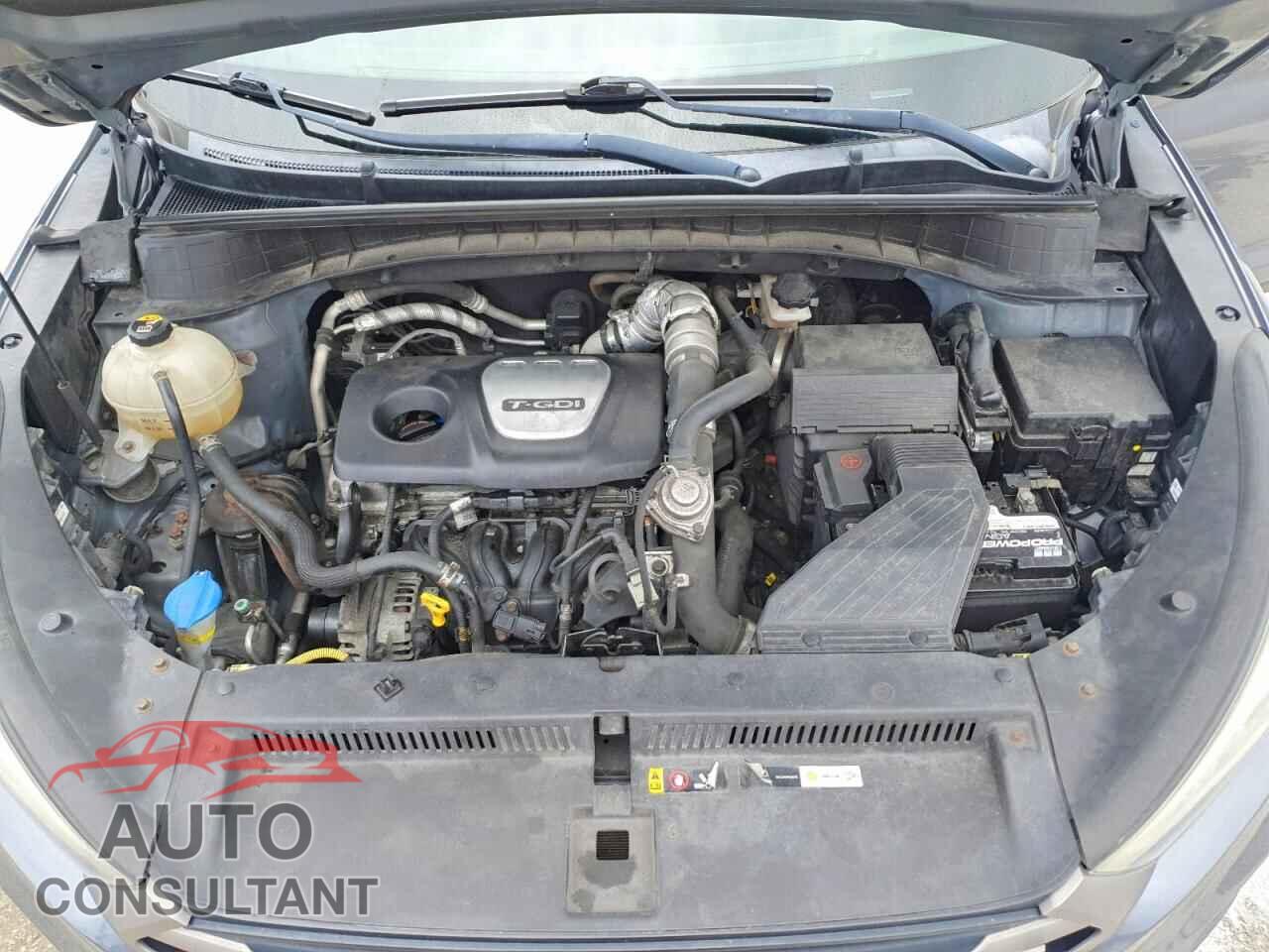 HYUNDAI TUCSON 2016 - KM8J3CA27GU199043