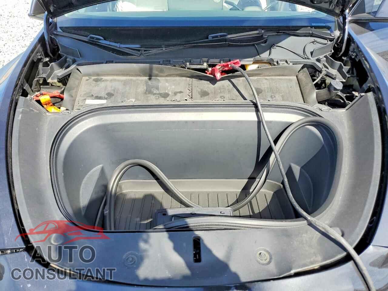 TESLA MODEL Y 2024 - 7SAYGDEF8RA265802