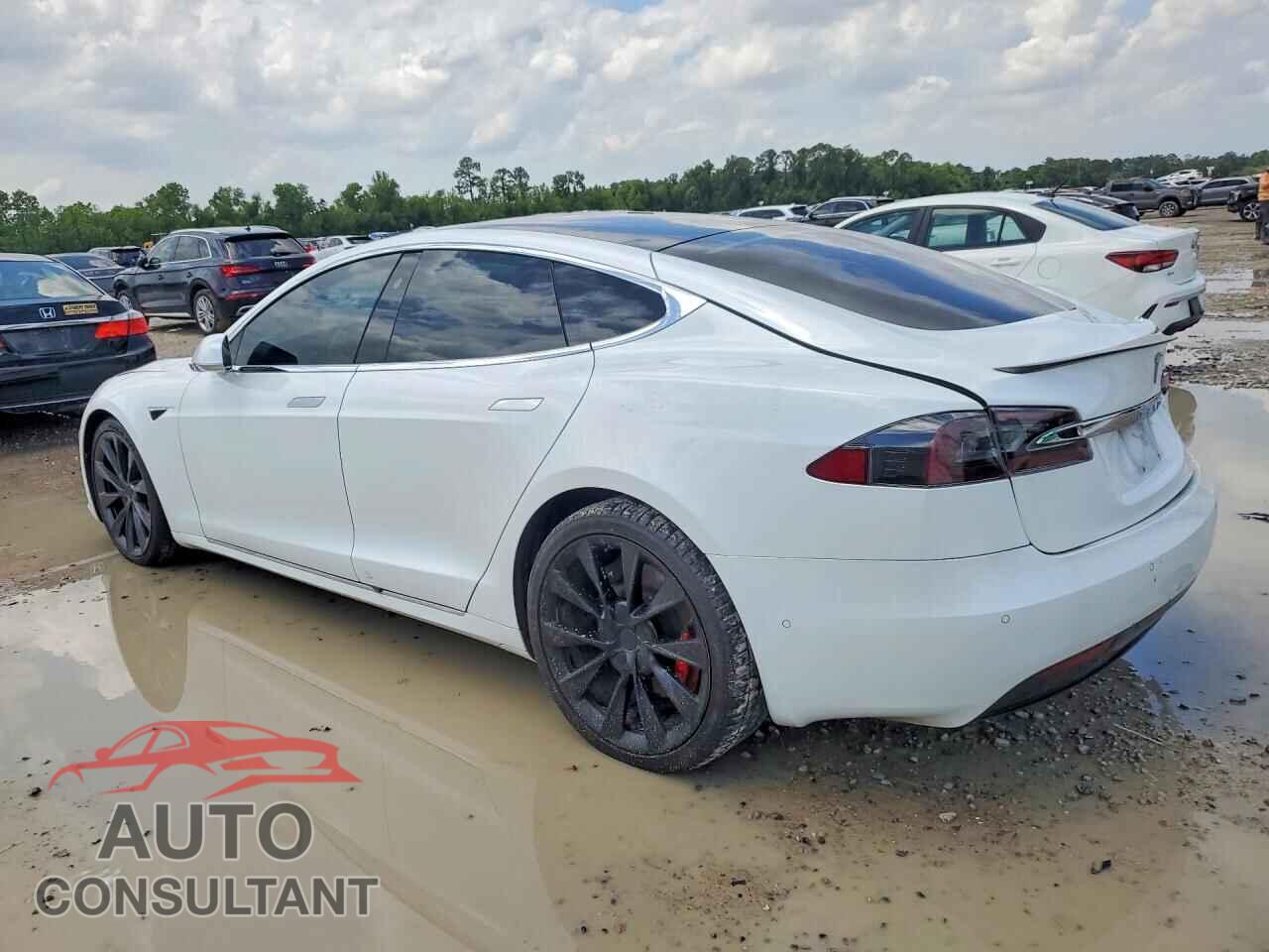 TESLA MODEL S 2019 - 5YJSA1E46KF337297