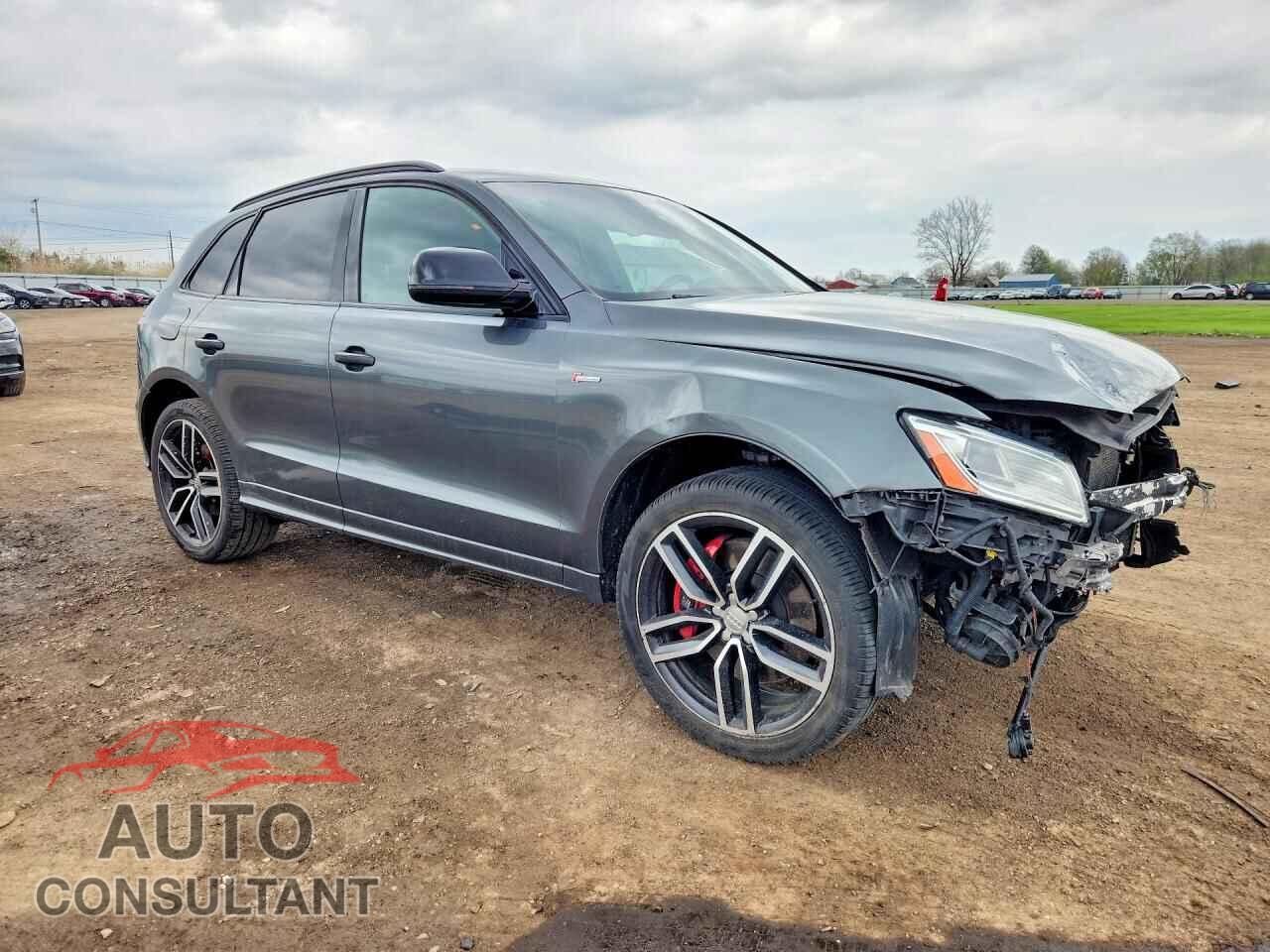 AUDI SQ5 2017 - WA1CCAFP1HA089754