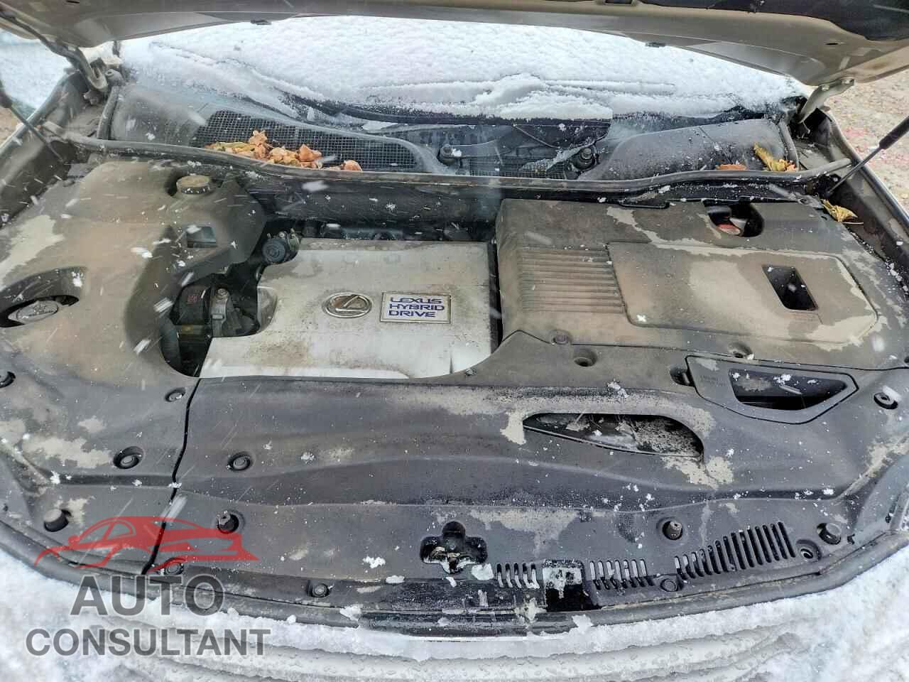 LEXUS RX450 2015 - 2T2BC1BAXFC005485