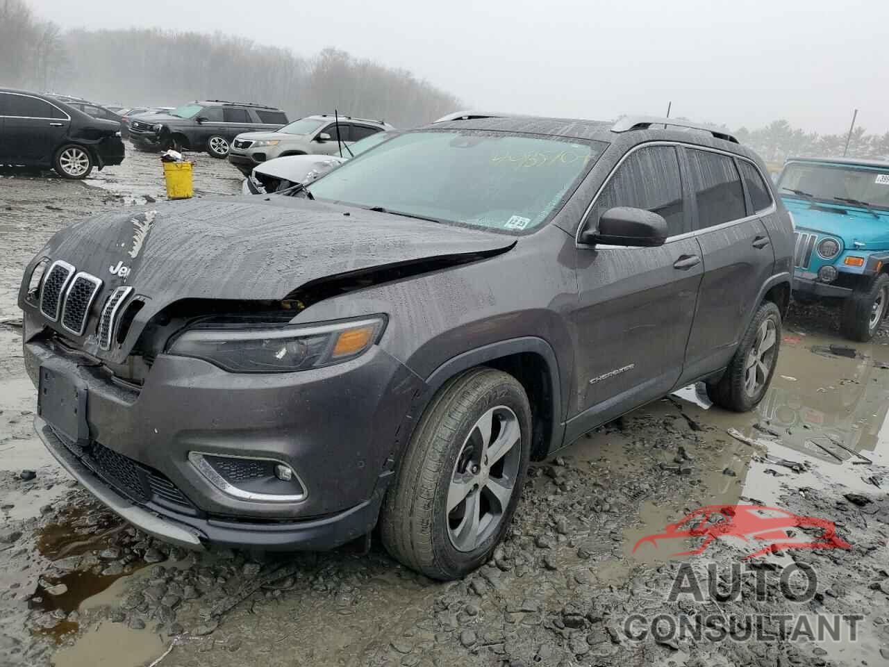 JEEP GRAND CHER 2019 - 1C4PJMDX5KD307198