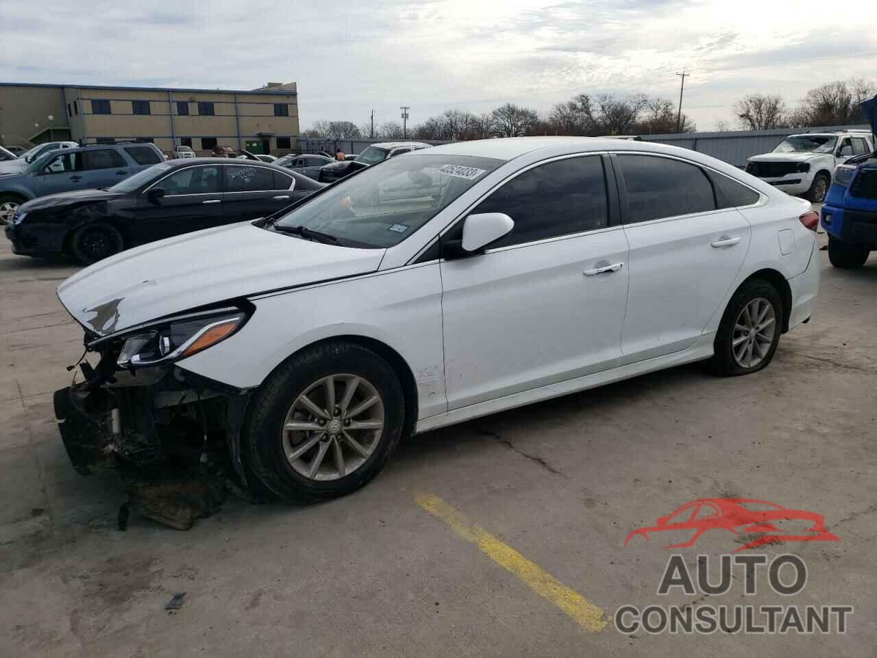 HYUNDAI SONATA 2019 - 5NPE24AF5KH745925