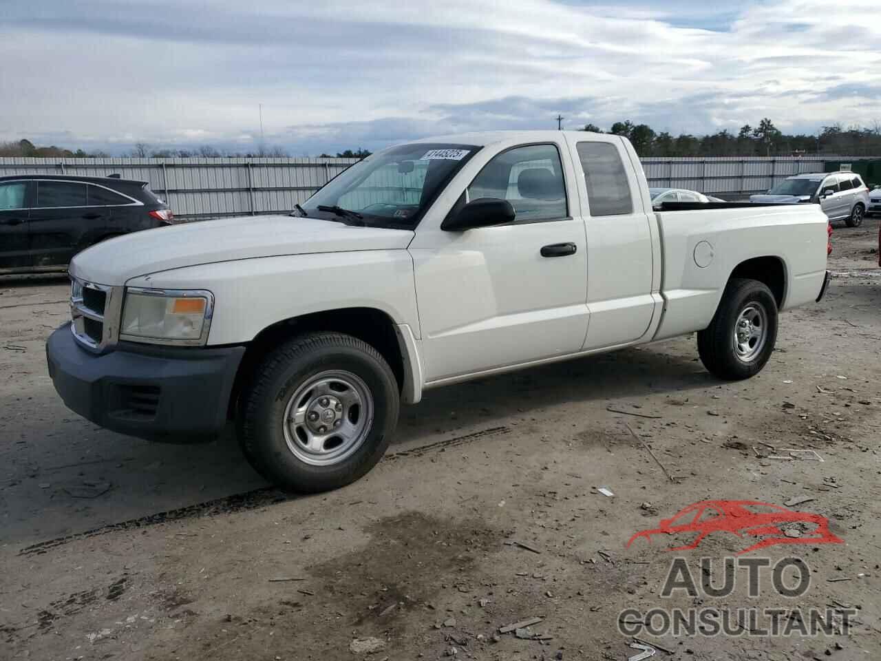 DODGE DAKOTA 2009 - 1D7HE22K29S759545