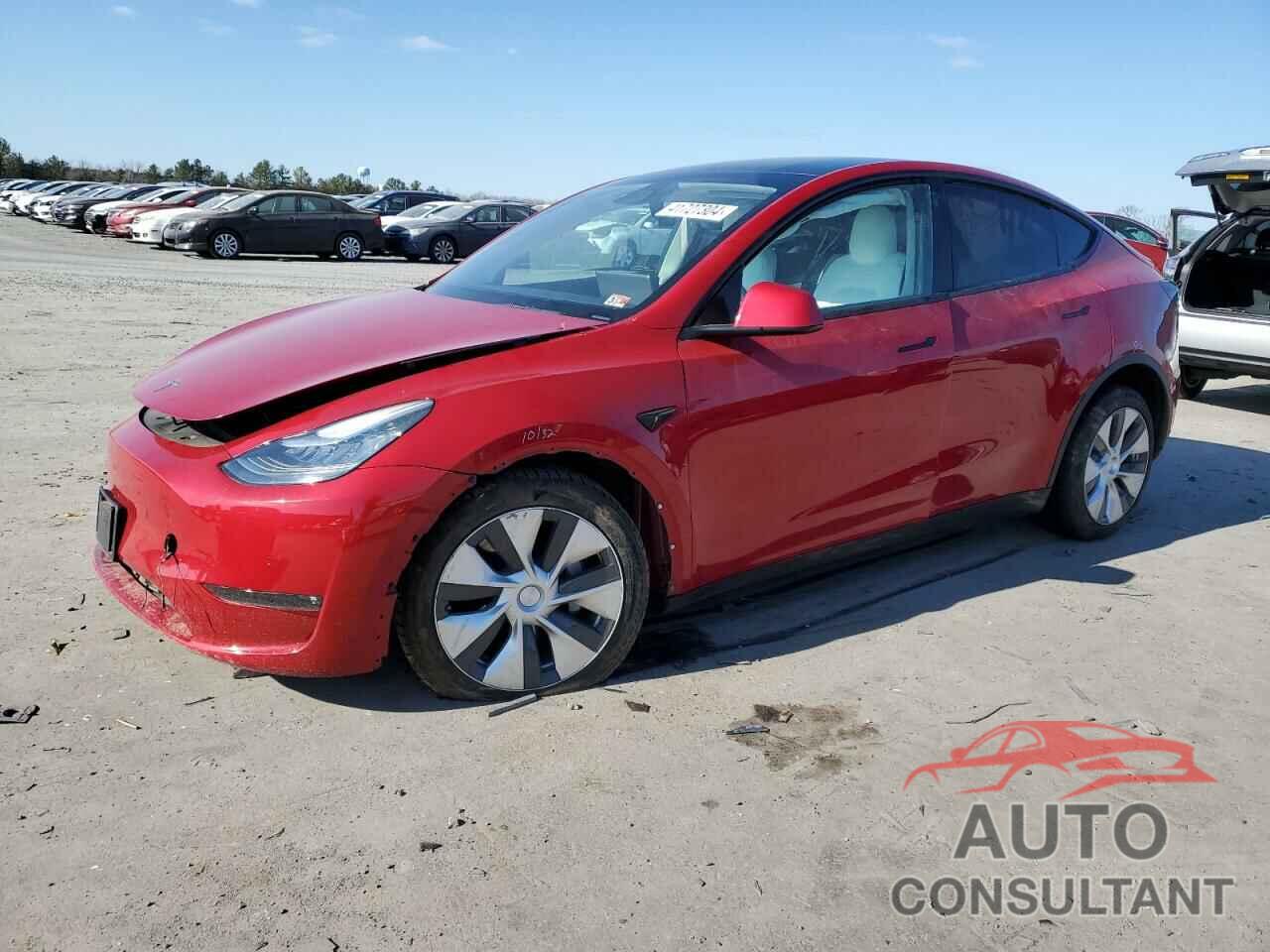 TESLA MODEL Y 2021 - 5YJYGDEE6MF151782