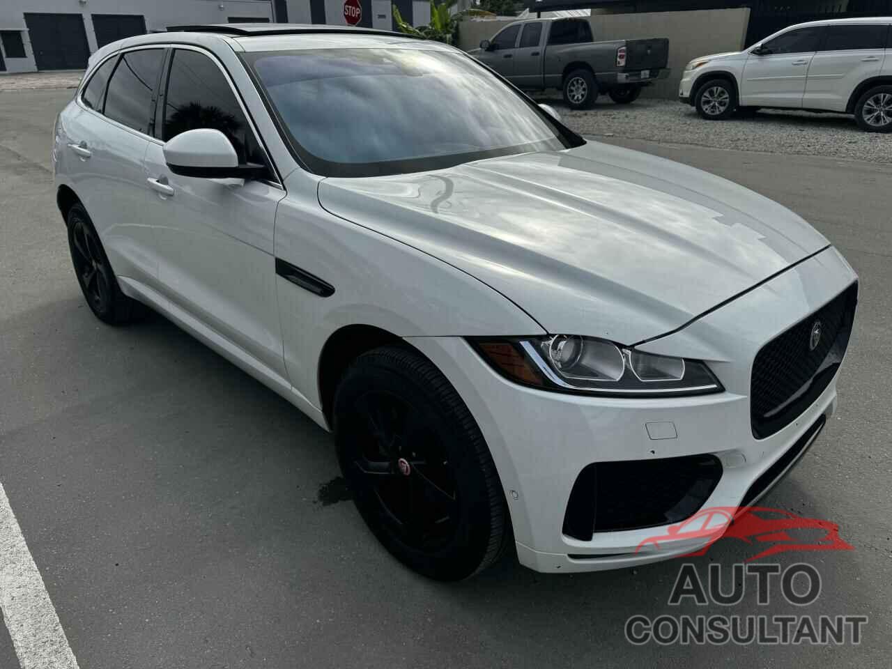 JAGUAR F-PACE 2020 - SADCJ2FX8LA641085