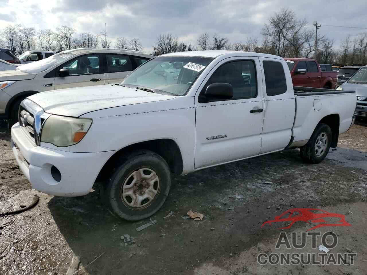 TOYOTA TACOMA 2009 - 5TETX22N99Z642095