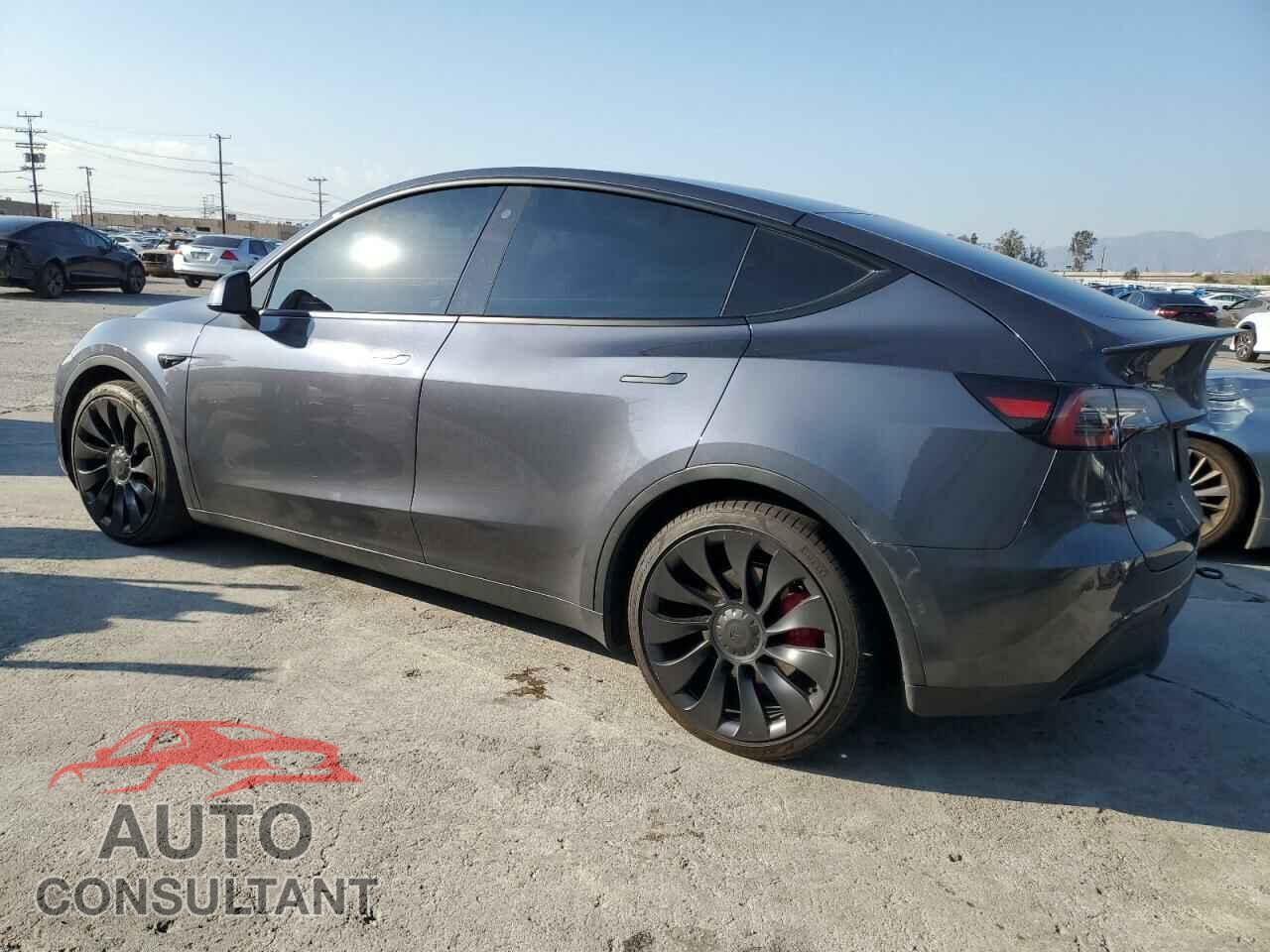TESLA MODEL Y 2022 - 7SAYGDEF2NF455902