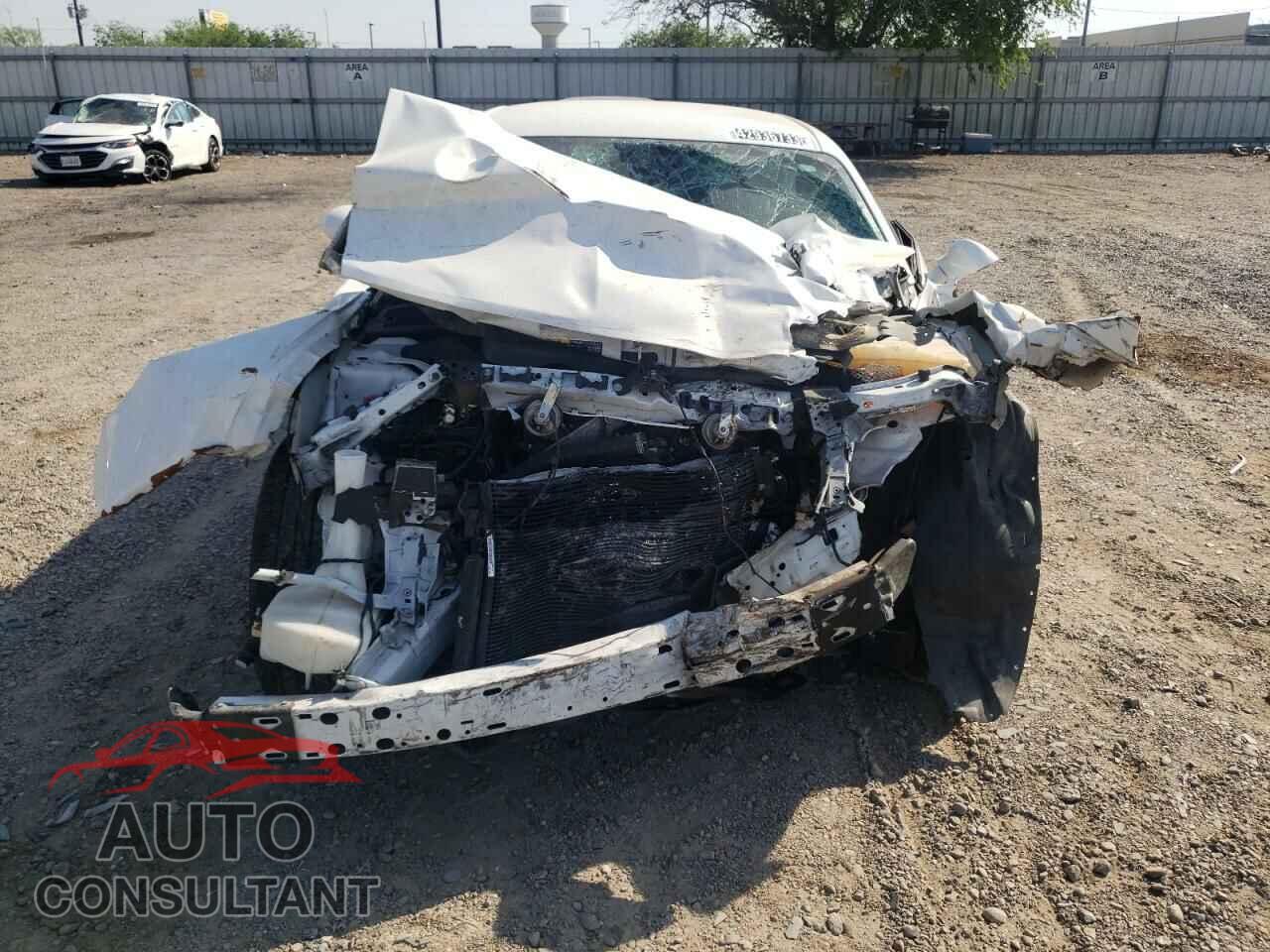 DODGE CHALLENGER 2019 - 2C3CDZAG2KH616576