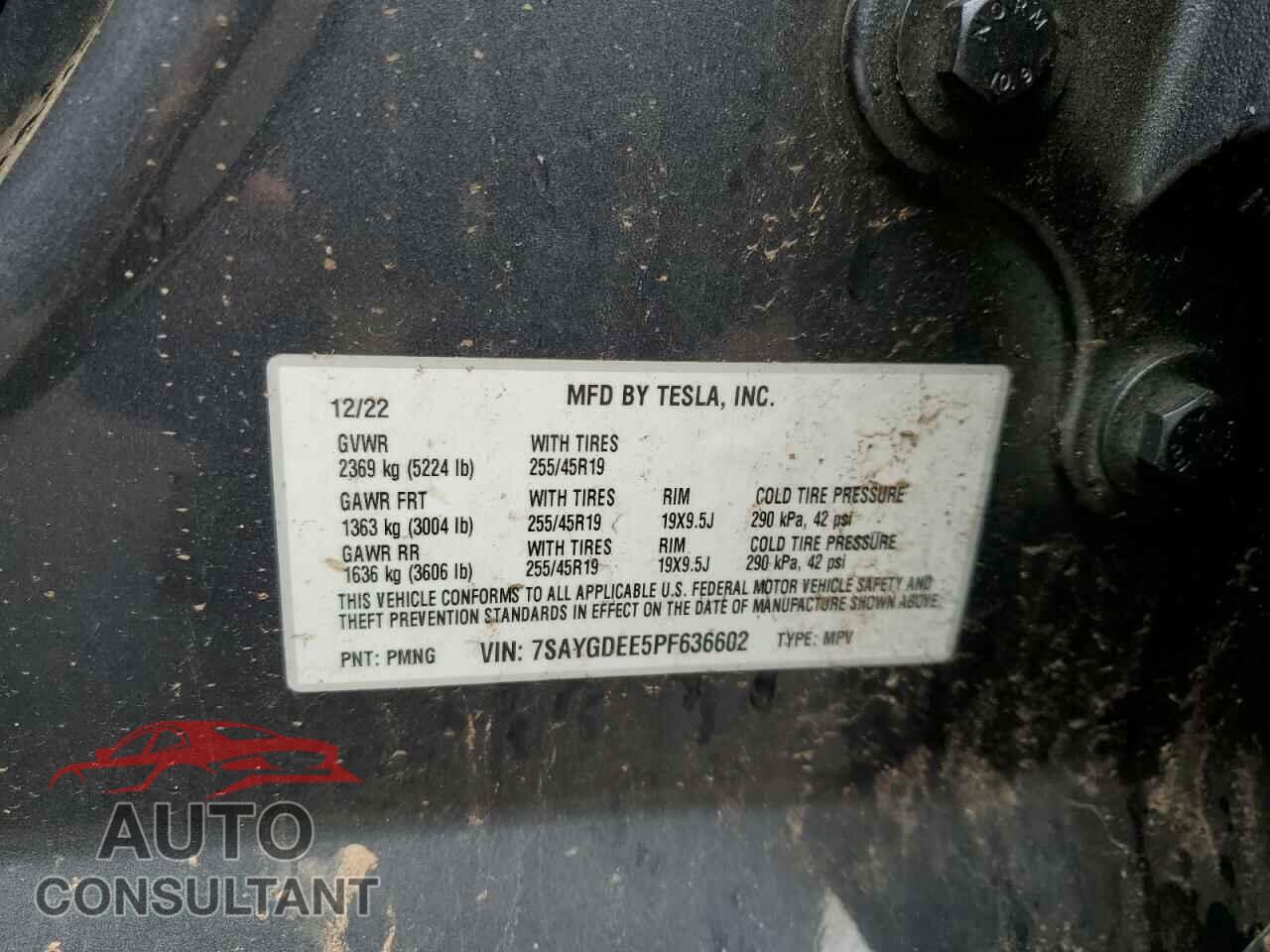 TESLA MODEL Y 2023 - 7SAYGDEE5PF636602