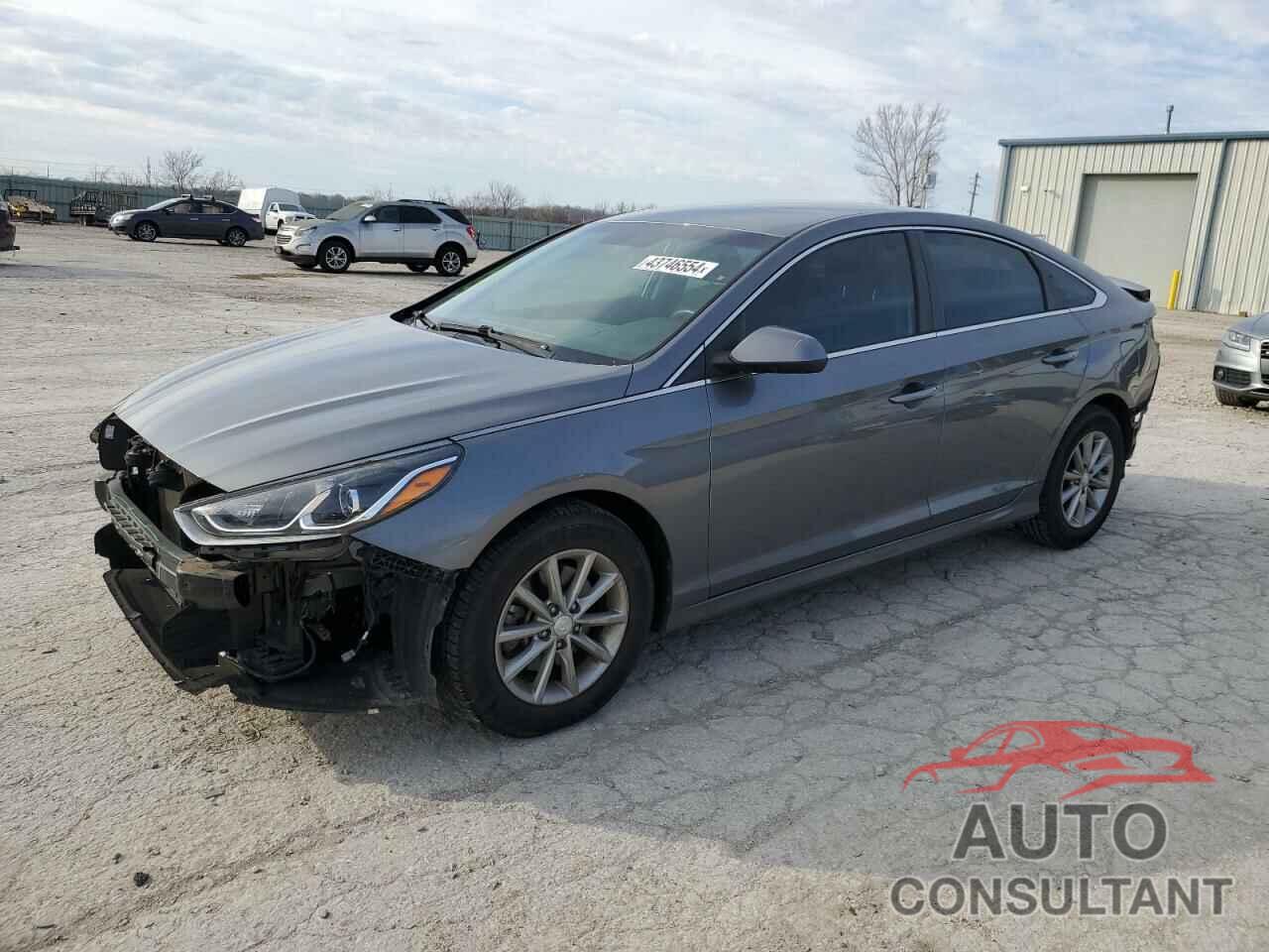 HYUNDAI SONATA 2019 - 5NPE24AF0KH746464