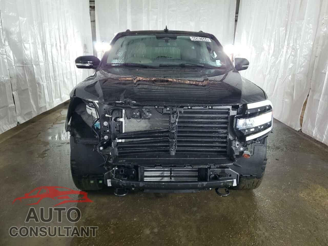 FORD EXPEDITION 2023 - 1FMJK2A82PEA55346