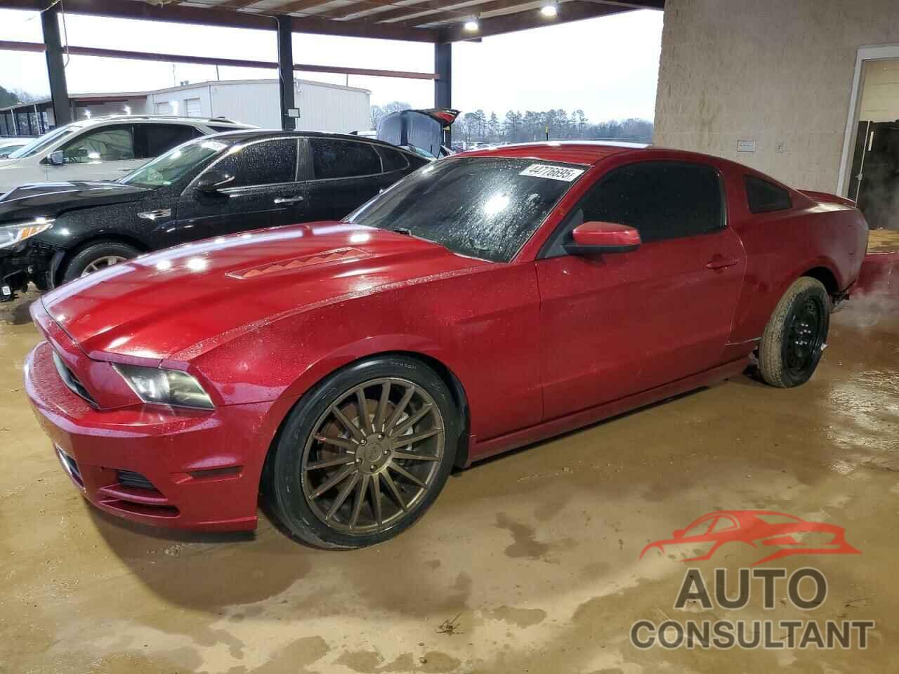 FORD MUSTANG 2014 - 1ZVBP8CF1E5311107