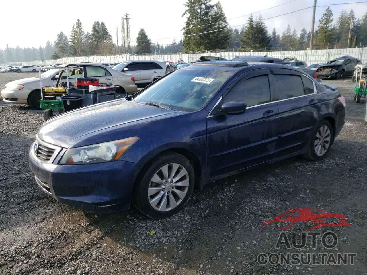 HONDA ACCORD 2009 - 1HGCP268X9A092650