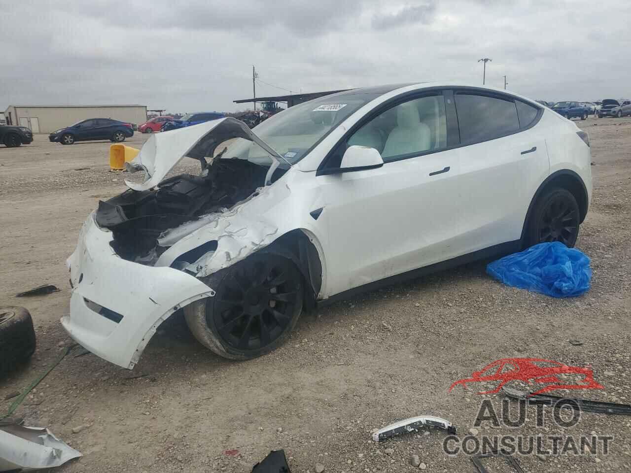 TESLA MODEL Y 2023 - 7SAYGDEEXPF618449
