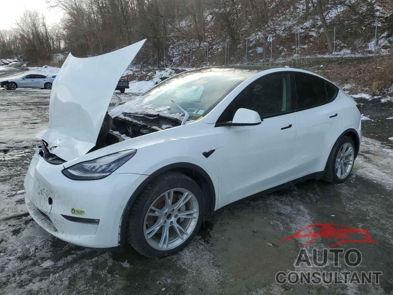 TESLA MODEL Y 2021 - 5YJYGAEE7MF281875