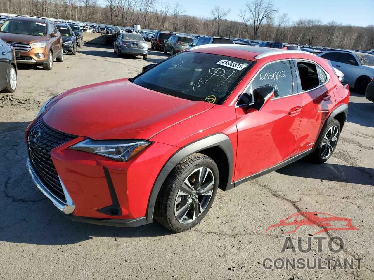 LEXUS UX 250H 2020 - JTHX9JBH1L2034257