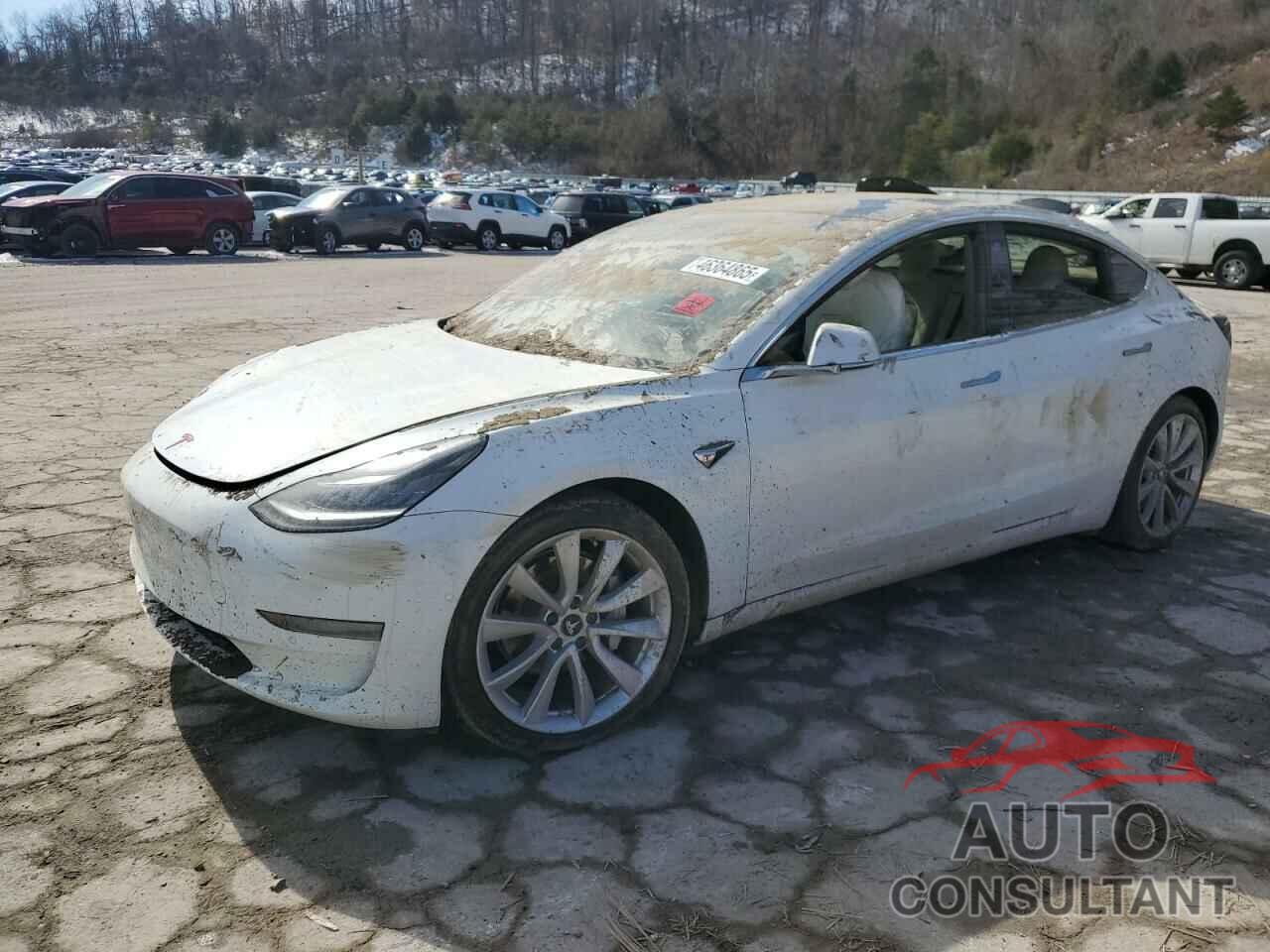 TESLA MODEL 3 2019 - 5YJ3E1EA3KF509087