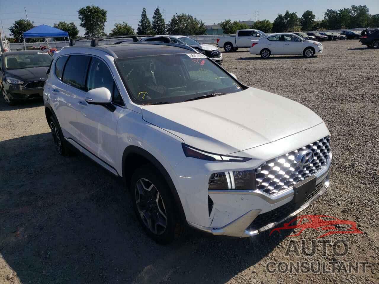 HYUNDAI SANTA FE 2022 - KM8S7DA28NU018947