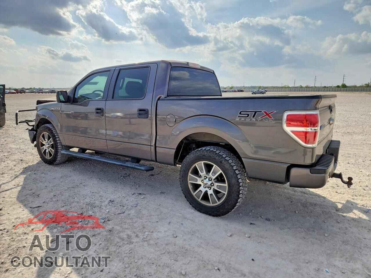 FORD F150 2014 - 1FTFW1EFXEFC15305