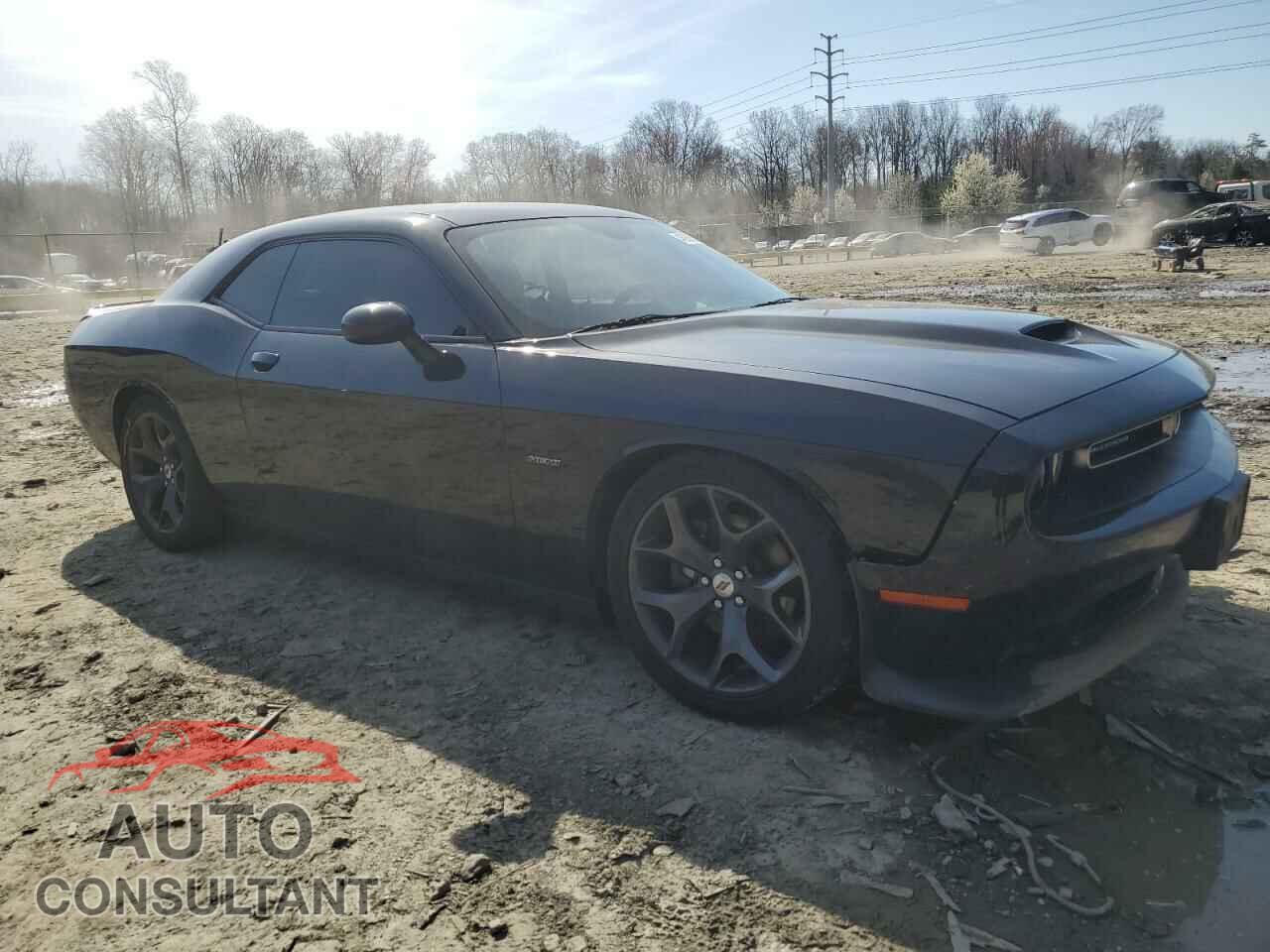 DODGE CHALLENGER 2019 - 2C3CDZBT0KH578342