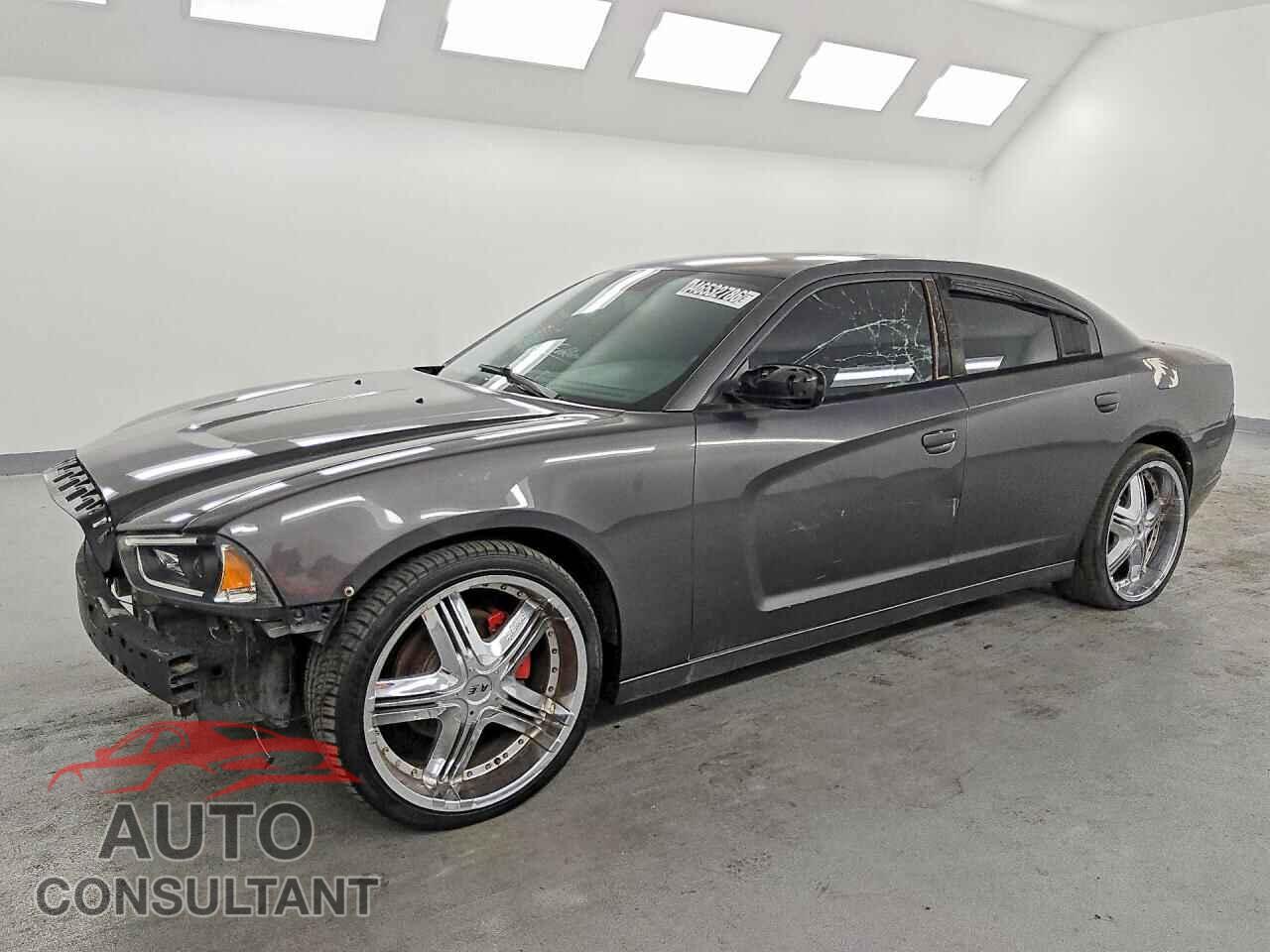 DODGE CHARGER 2014 - 2C3CDXCTXEH146929