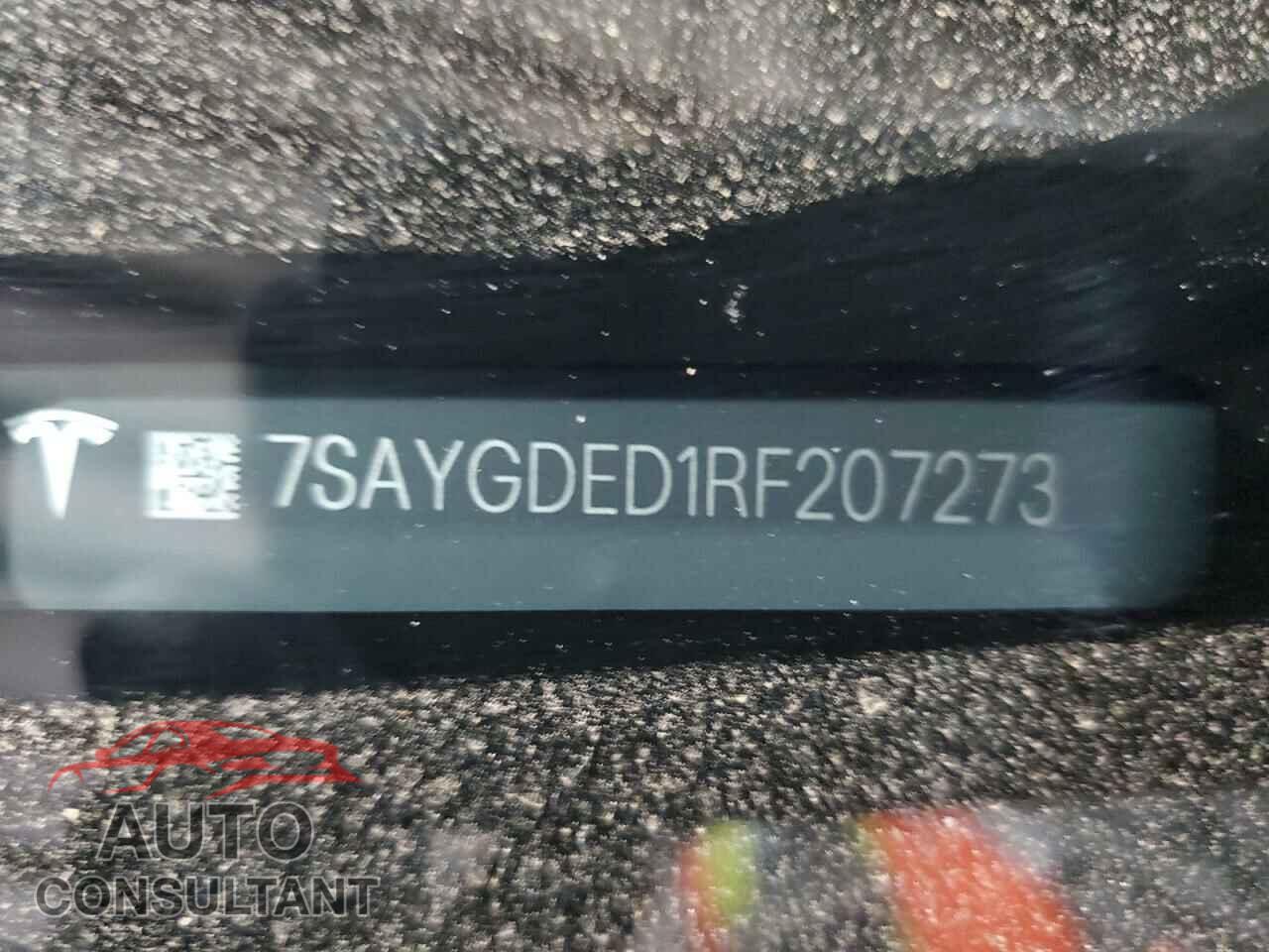 TESLA MODEL Y 2024 - 7SAYGDED1RF207273