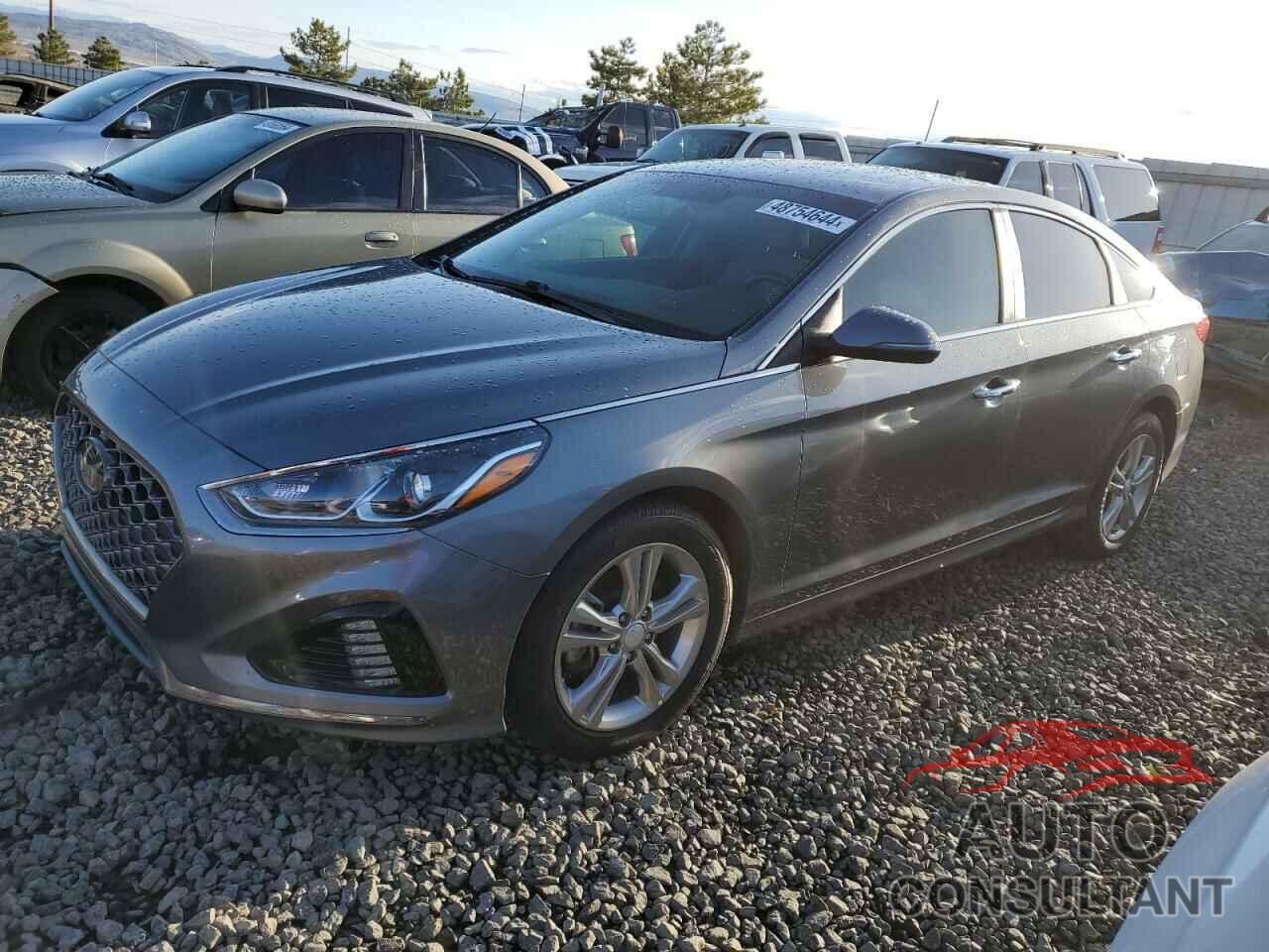 HYUNDAI SONATA 2019 - 5NPE34AF4KH746447