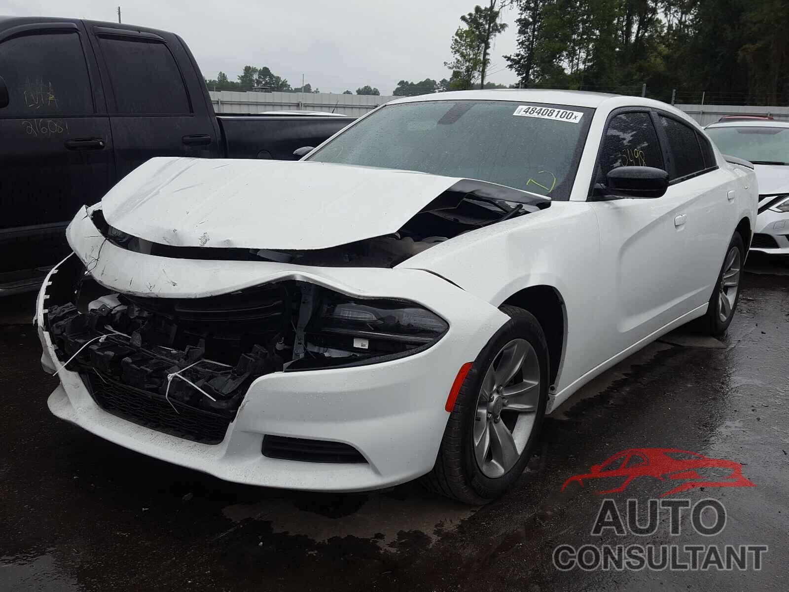 DODGE CHARGER 2019 - 2C3CDXBGXKH704181