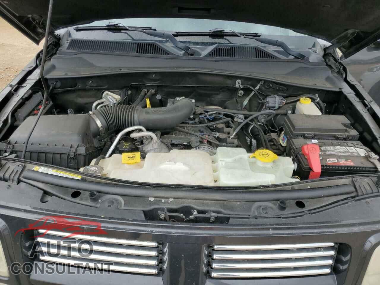 DODGE NITRO 2011 - 1D4PT4GK0BW554193