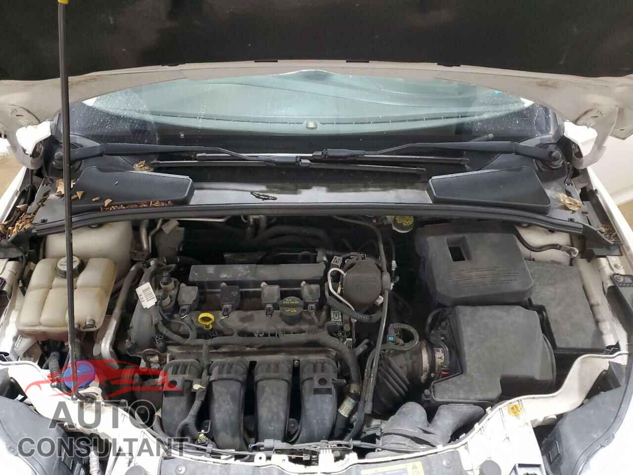 FORD FOCUS 2012 - 1FAHP3M29CL310796