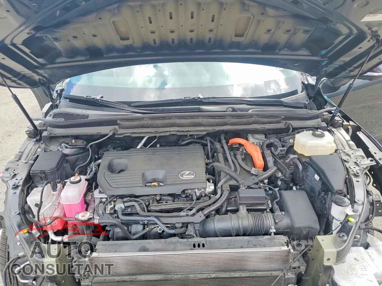 LEXUS UNKNOWN 2025 - 2T2BBMCA4SC069731