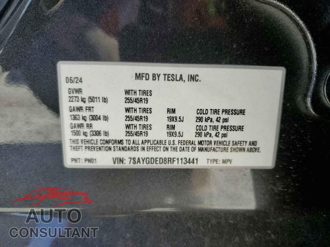 TESLA MODEL Y 2024 - 7SAYGDED8RF113441