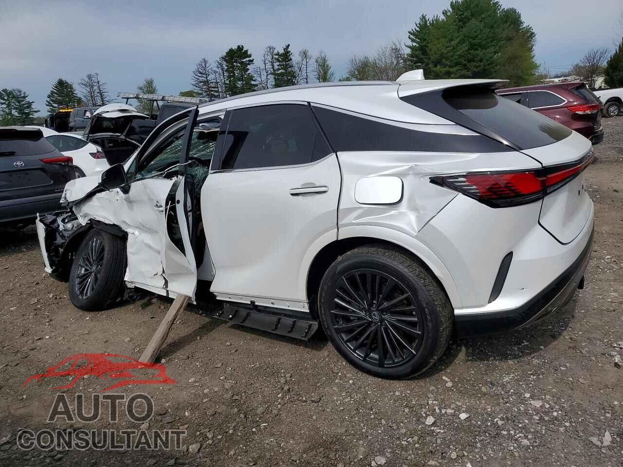 LEXUS UNKNOWN 2026 - 2T2BBMCA9TC118195
