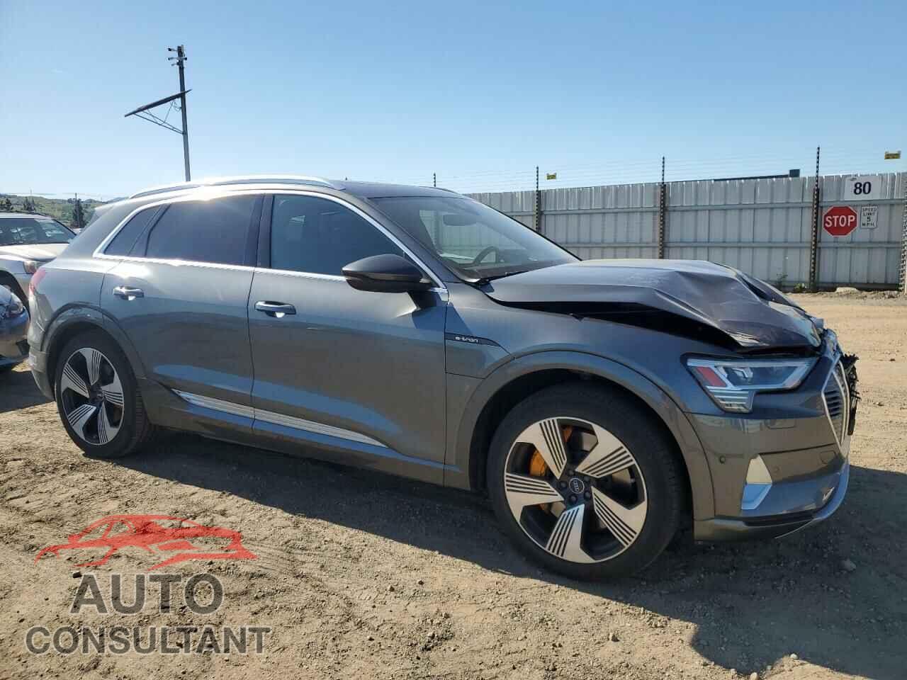 AUDI E-TRON 2019 - WA1VAAGE5KB006114