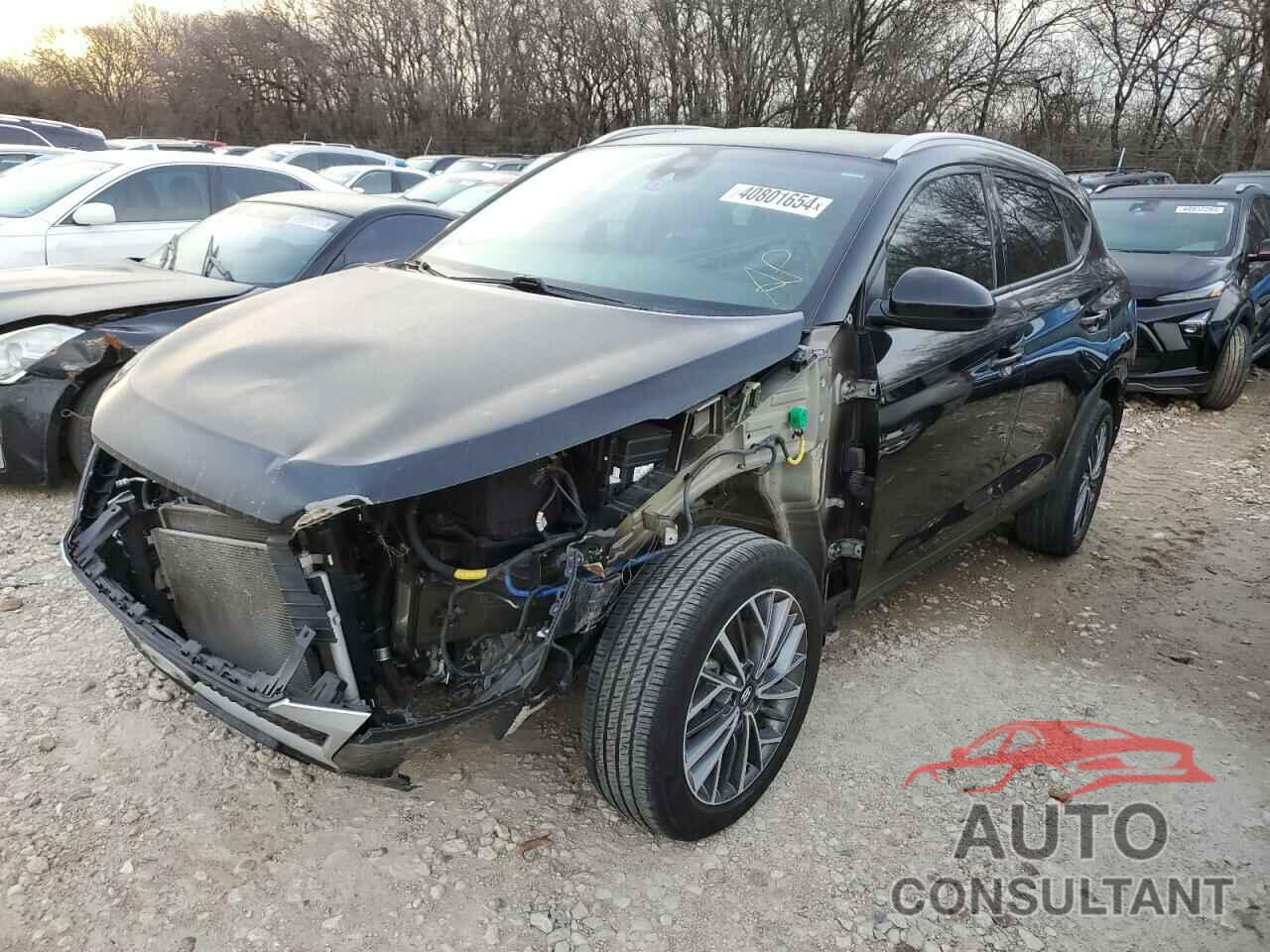 HYUNDAI TUCSON 2019 - KM8J33AL6KU991881