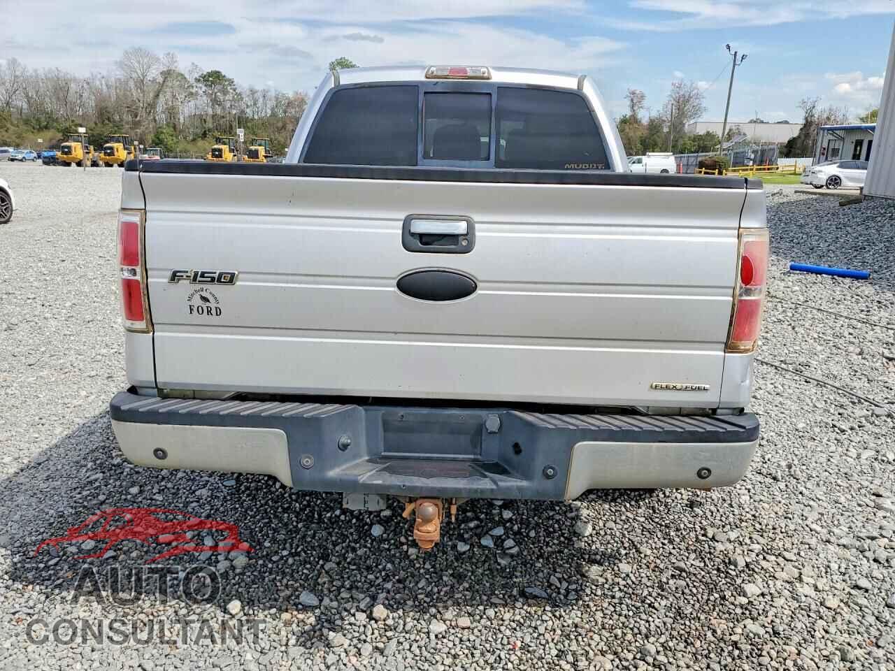 FORD F150 2011 - 1FTEW1CM4BFD01198