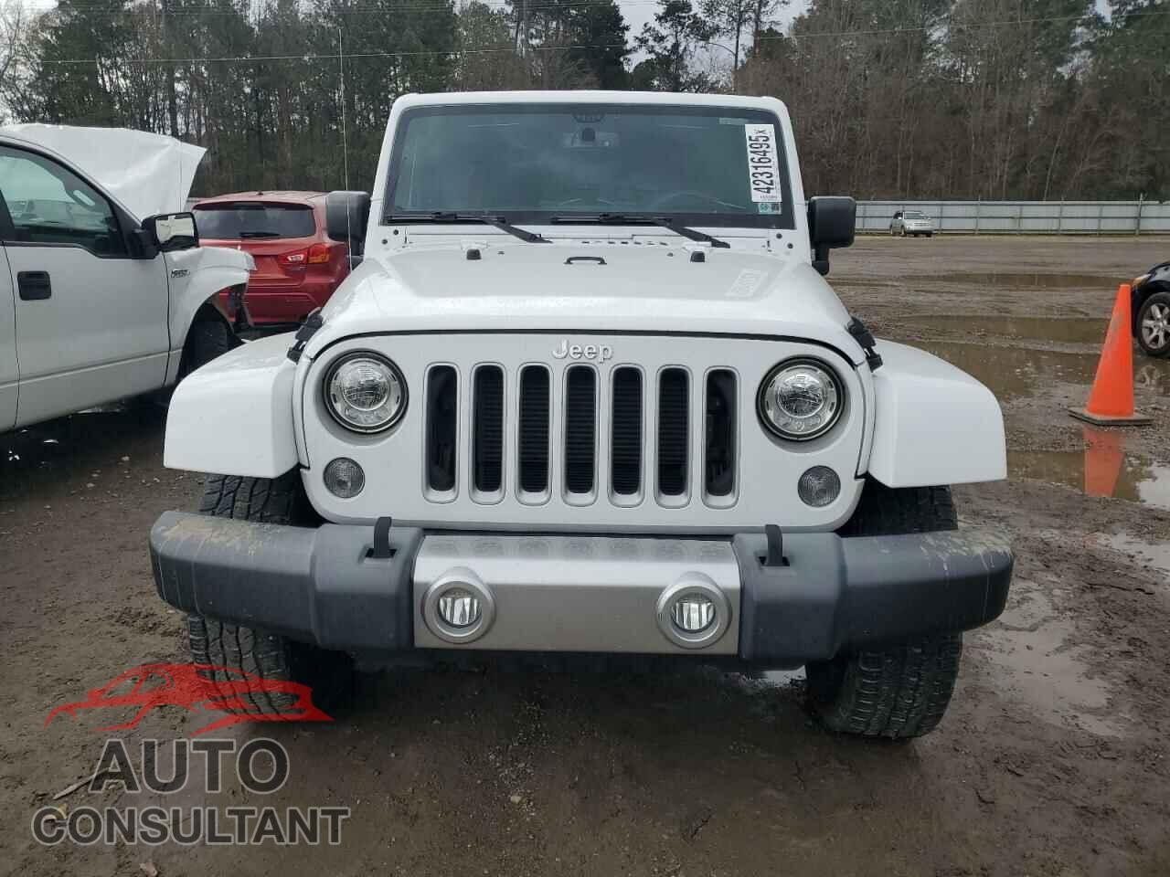 JEEP WRANGLER 2017 - 1C4BJWEG3HL695180