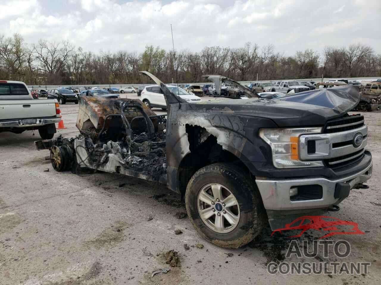 FORD F-150 2019 - 1FTEW1E5XKFC12225