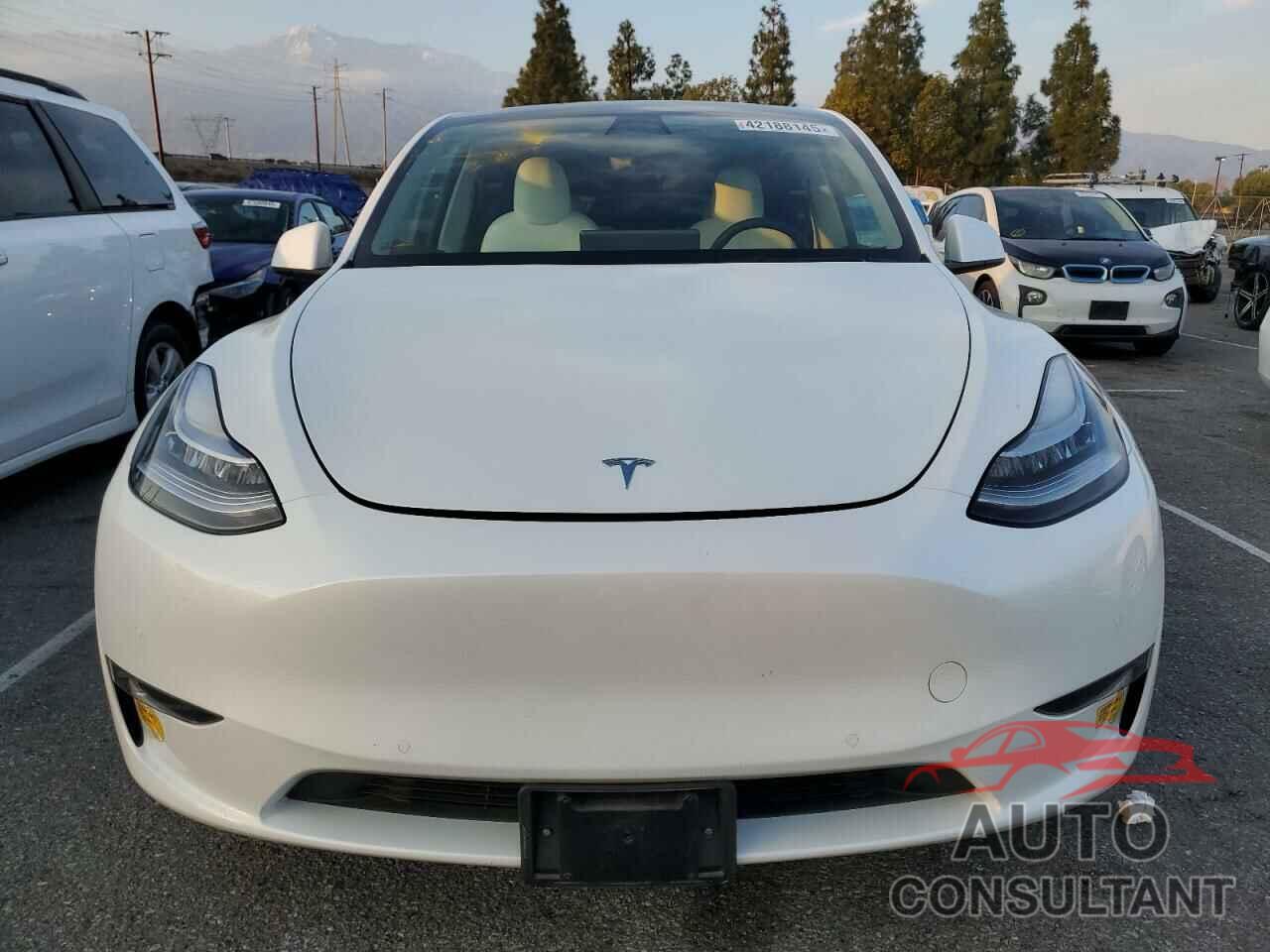TESLA MODEL Y 2022 - 7SAYGDEE7NF359254