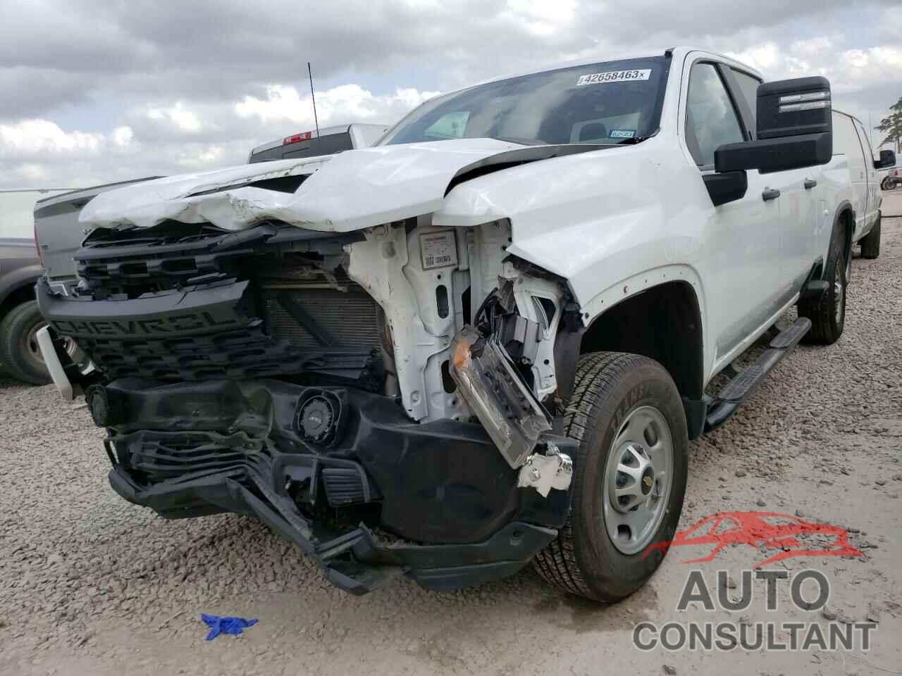 CHEVROLET SILVERADO 2020 - 1GC4WLE73LF219091